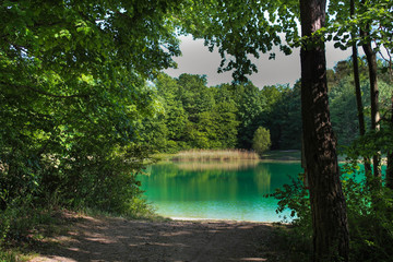 Kleiner See in Sasbach am Kaiserstuhl im Frühling