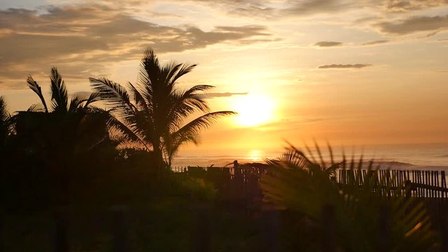 Beautiful sunrise with palm trees silhouettes on the beach in Guatemala