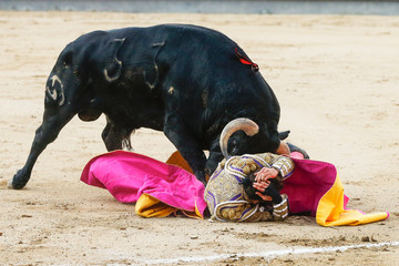 bullfight party spain