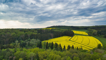 Rapsfelder Landschaft von oben