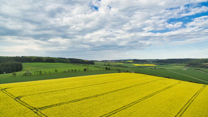 Rapsfelder Landschaft von oben