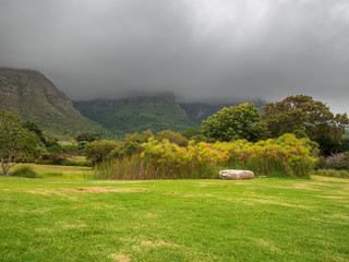 South Africa green landscape with scenic clouds and mountain background