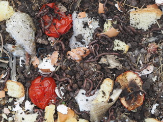 Compost heap with rotten droppings from rabbits, dry leaves and plants, kitchen waste, rotten...