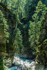 mountain river or stream in a deep canyon green forest british columbia canada.