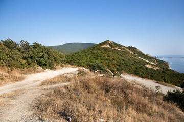 path in the mountains © golizynann