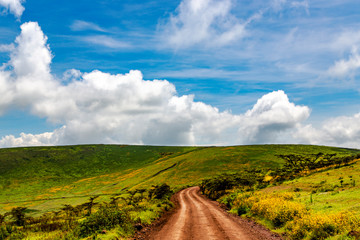 Road through the wooded hills in the background of a fluffy clouds in Ngorongoro Crater Conservation Area,Tanzania. East Africa © Tanya Keisha