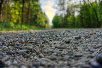 Road made of stones through the forest