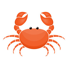 Crab cartoon cut vector illustration isolated on white.