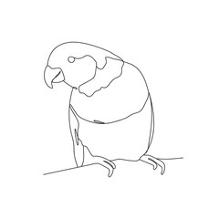 Continuous line drawing parrot bird.