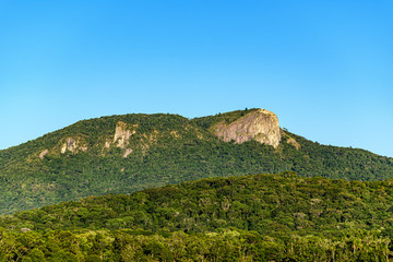 large white stone hill surrounded by green rainforest under a blue sky - 343583858
