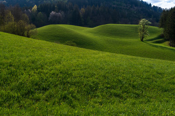 green field and mountains