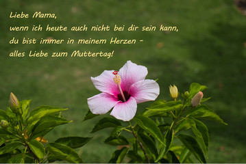 Get Gedicht feuerschale Desktop Wallpaper