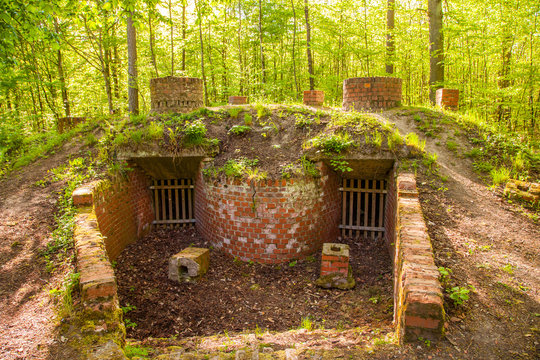 Alter Kohlenmeiler im Steigerwald, Unterfranken