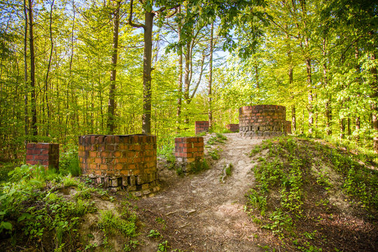 Alter Kohlenmeiler im Steigerwald, Unterfranken