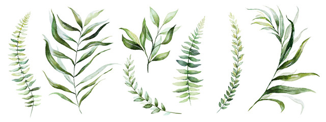 Watercolor tropical floral illustration set with green leaves for wedding stationary, greetings, wallpapers, fashion, backgrounds, textures, DIY, wrappers, postcards, logo, etc. © Veris Studio