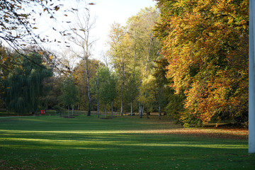 autumn park in the park