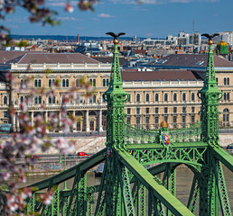 Beautiful Liberty Bridge with almond blossom in Budapest
