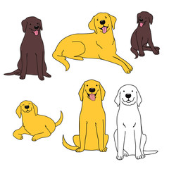 Labrador dogs - 343587002