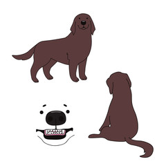 Retriever dog characters - 343587083