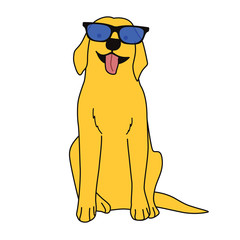 Retriever dog is wearing sun glasses - 343587090