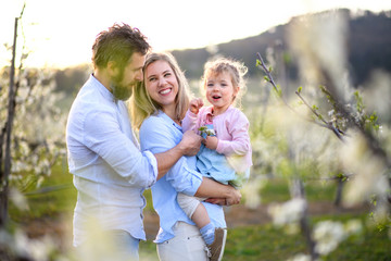 Family with small daughter standing outdoors in orchard in spring, laughing.