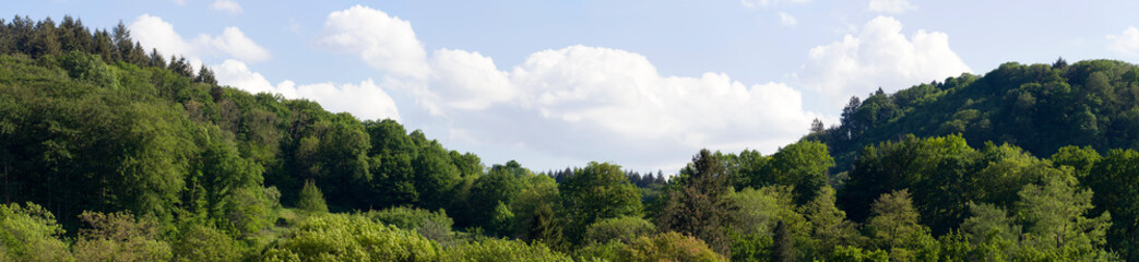 Mischwald, Bannwald, Panorama