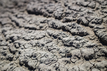 Texturas en el valle de la luna