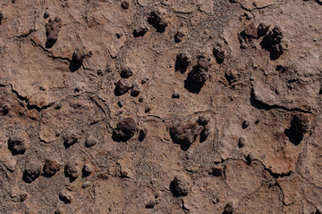 Textura rocosa en el valle de la luna