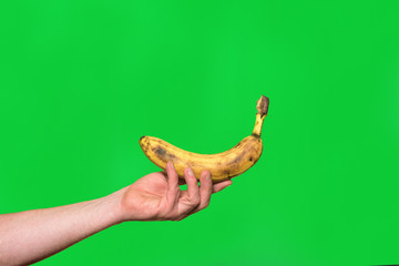 hand holding a banana on green background