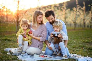 Family with two small children having picnic outdoors in spring nature at sunset.