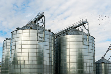 silver silos on agro manufacturing plant for processing drying cleaning and storage of agricultural...