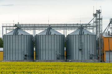 Fototapeta na wymiar silver silos on agro manufacturing plant for processing drying cleaning and storage of agricultural products. Large iron barrels of grain. modern plant against the background of a large rape field