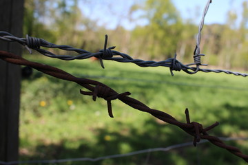 der alte Stacheldraht