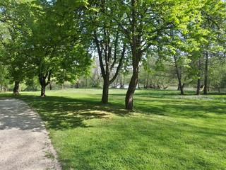 Alley in the park with green meadow and river