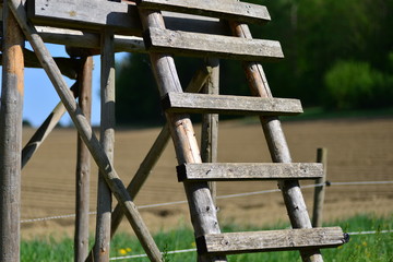 Old wooden stairs