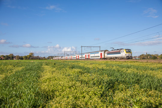 Doublde deck coaches through the fields
