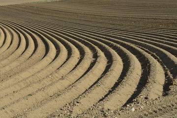 plowed field in spring