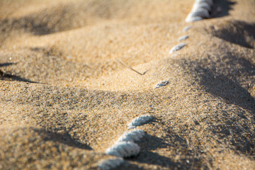 Sand Washing over White Rope