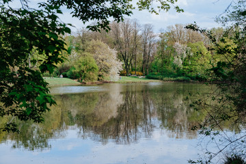 Duck ponds in Skaryszewski Park in Warsaw, Poland