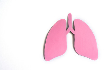 Pink paper lungs on the white background. Coronavirus concept.