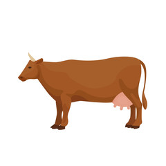 Farm Animals Cow Vector Illustration