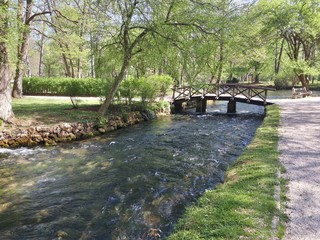 Fototapeta na wymiar Wooden bridge and green river in the park