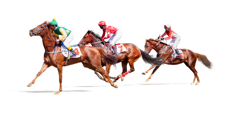 jockey horse racing isolated on white background