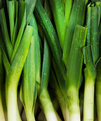 Spring onions also known as salad onions, green onions or scallions