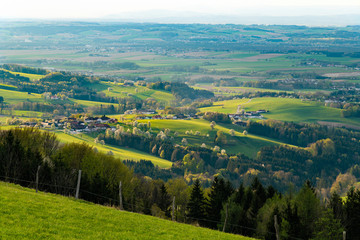 Mostviertel Landschaft Mostbaumblüte Abendstimmung Goldene Stunde Hügellandschaft