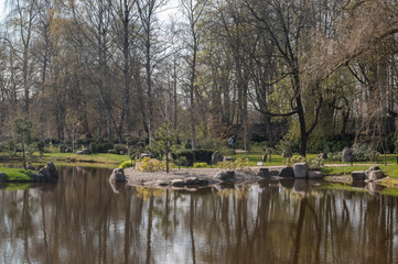 Fototapeta na wymiar pond in the park spring time