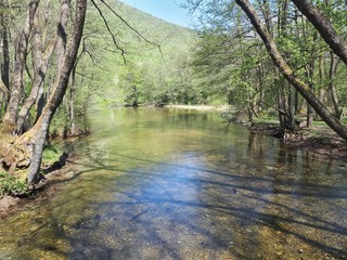 Green river in the national park