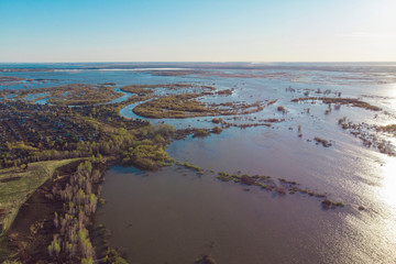 flooded forest during the flood period, photographed from a drone