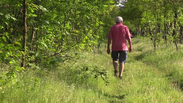 Passeggiata del nonno
