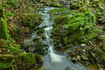 Little Waterfall in the woods of Brenta mountains